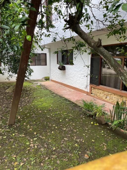 Comparte Con La Naturaleza Apartment *