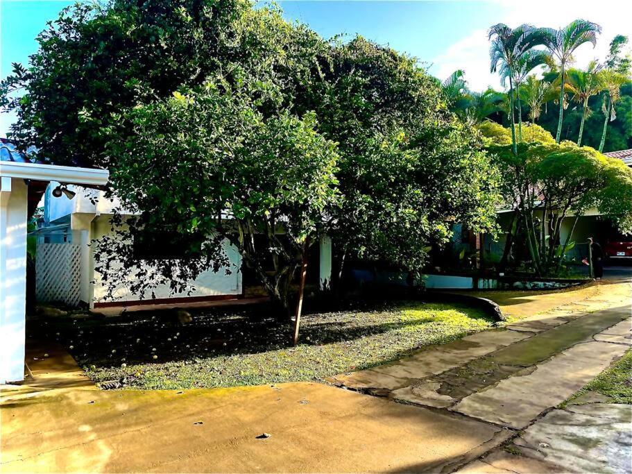 Comparte Con La Naturaleza Apartment